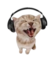 Котик-4